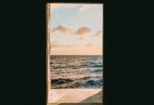 advantage tvs web login