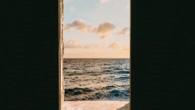 advantage tvs web login