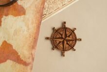 advantage tvs web portal guide