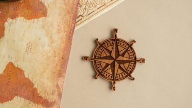 advantage tvs web portal guide