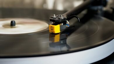 albumlord media platform overview