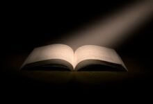 alighacham94 s personal platform insights