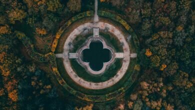 baldur garten platform summary