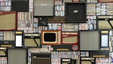 bdmusicboss com platform details