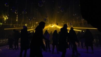 bdmusicboss music portal overview