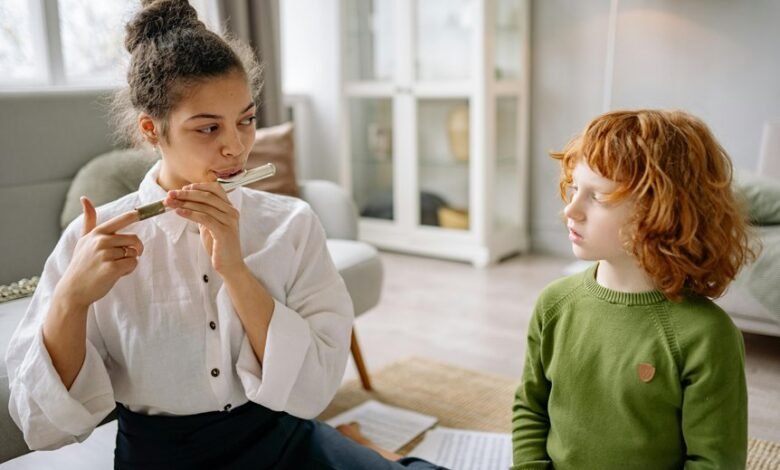 bdmusicboss net service overview