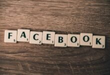 biqle search and services