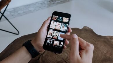 bmovies streaming platform guide