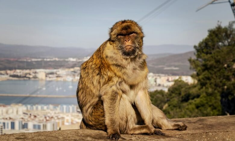 tvs official website advantages