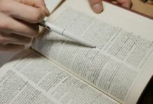 accurate caller information lookup insight