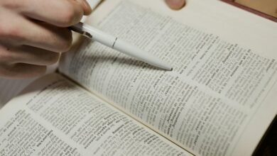 accurate caller information lookup insight