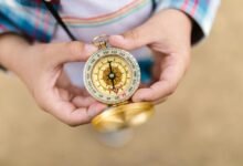 analytical expansion map growth