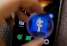 platform usage and account details overview