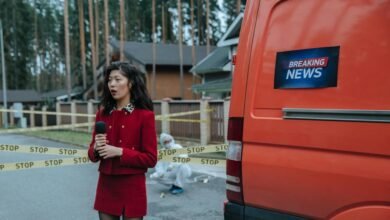 spam reports tied to 9562175041 alerts